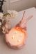 Великодній Кролик в Стильному Дерев`яному Ящику EASTER BUNNY + BOX фото 9